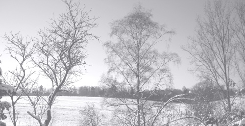 [Winter landscape] 